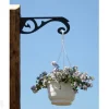 Ampellipidike ORNAMENT 1