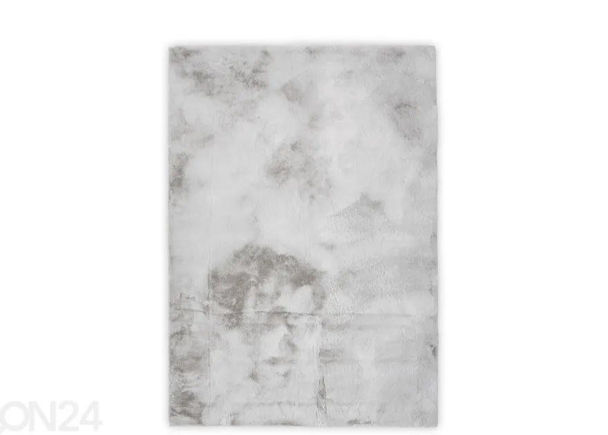 Gino Falcone matto Chiara 40x60 cm