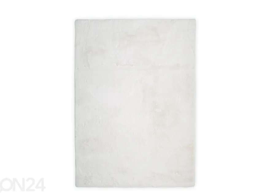 Gino Falcone matto Chiara 40x60 cm