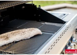 Kaasugrilli Barbecook Siesta 412