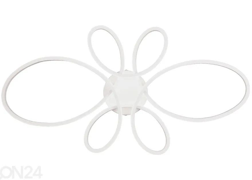 Kattovalaisin Fly