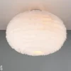 Kattovalaisin Furry