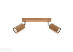Kattovalaisin Zeke 2, tammi