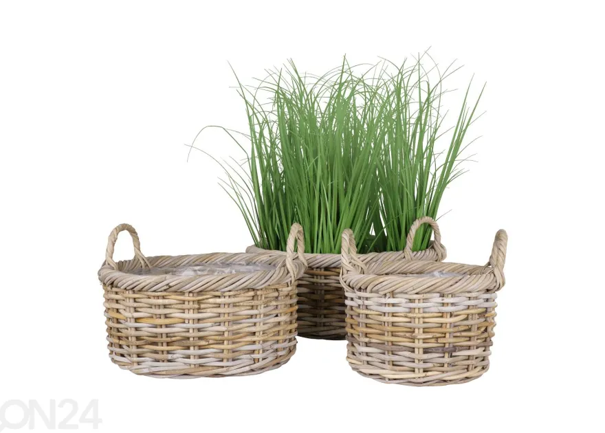 Korit / kukkaruukut Bạc Liêu, 3 kpl