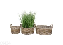 Korit / kukkaruukut Bạc Liêu, 3 kpl