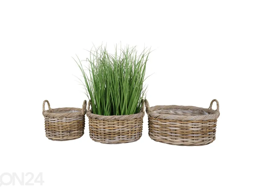 Korit / kukkaruukut Bạc Liêu, 3 kpl