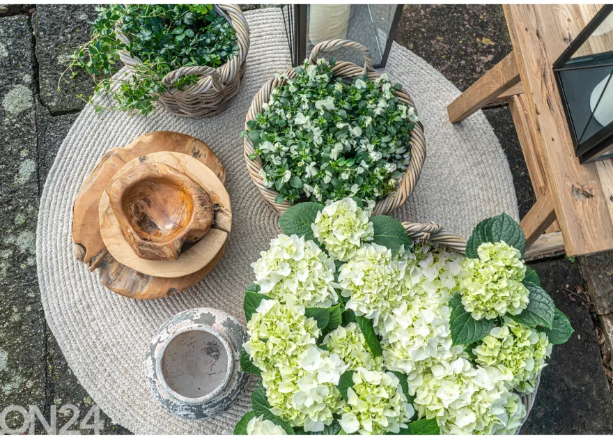 Korit / kukkaruukut Bạc Liêu, 3 kpl