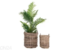 Korit / kukkaruukut Cần Thơ, 2 kpl