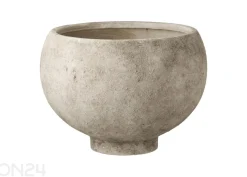 Kukkaruukku