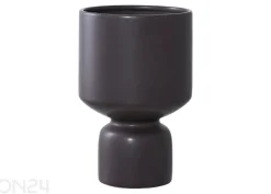 Kukkaruukku