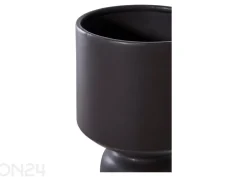 Kukkaruukku