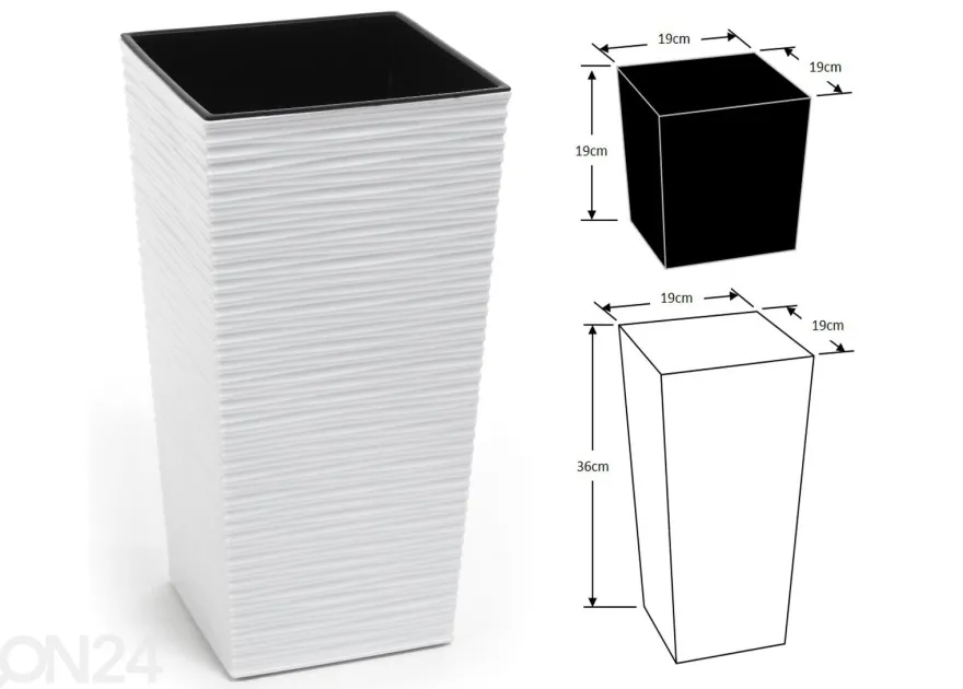 Kukkaruukku Finezia Dluto XS