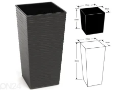 Kukkaruukku Finezia Dluto XS
