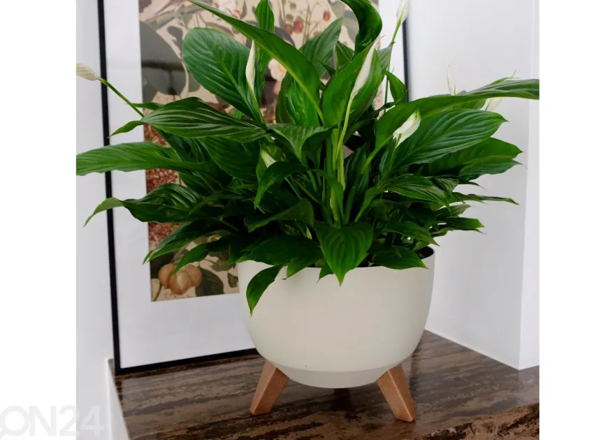 Kukkaruukku jaloilla Roma Legs Ø 29 cm