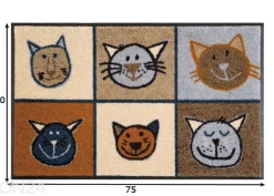 Kynnysmatto Miau Miau 50x75 cm