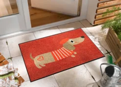 Kynnysmatto Monsieur Chien, 50x75 cm