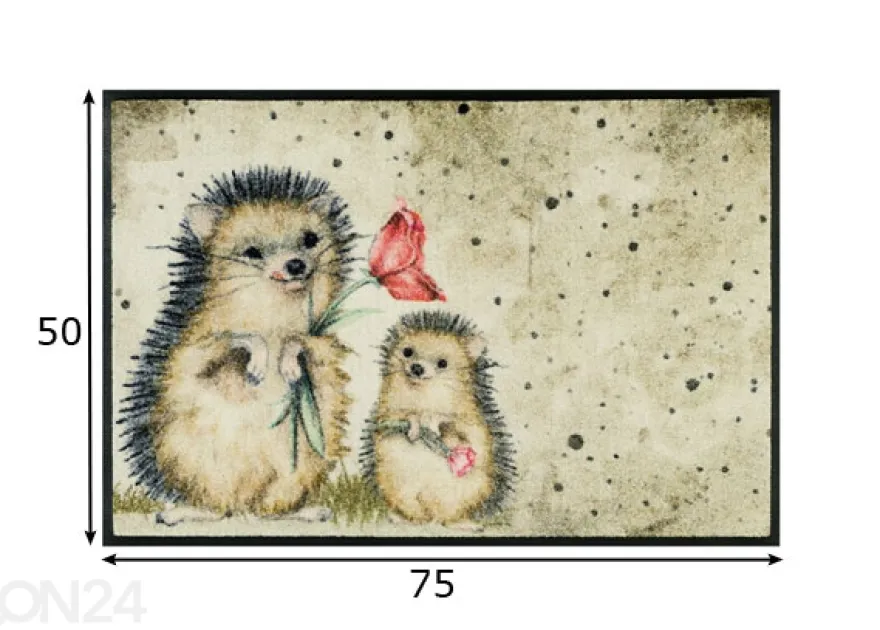 Kynnysmatto Spike 50x75 cm