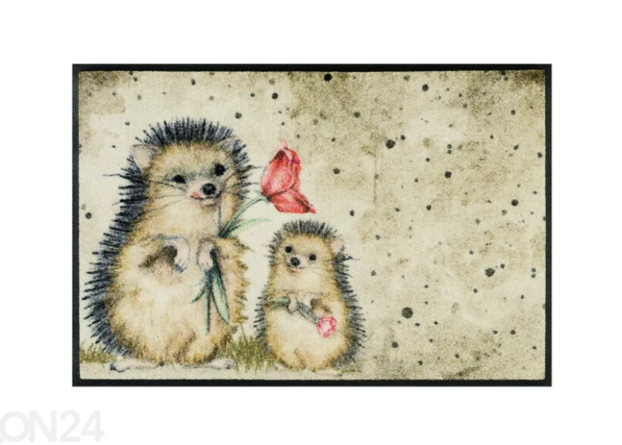 Kynnysmatto Spike 50x75 cm
