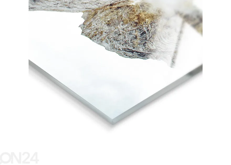 Lasikuva Tyrol Hut 50x70 cm