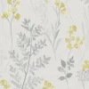 Paperitapetti Pashley