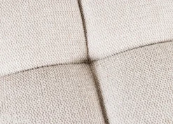 Penkki Papillon