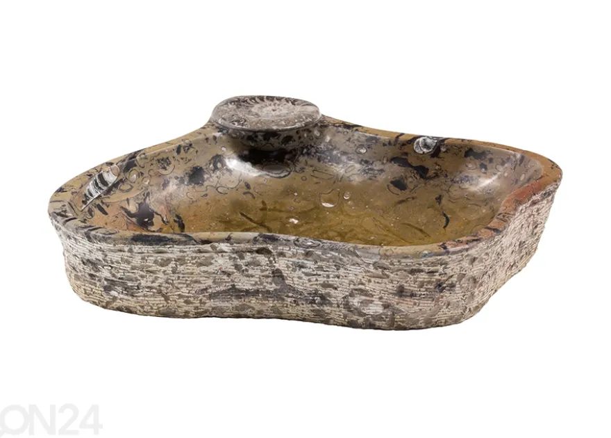 Pesuallas marmoria