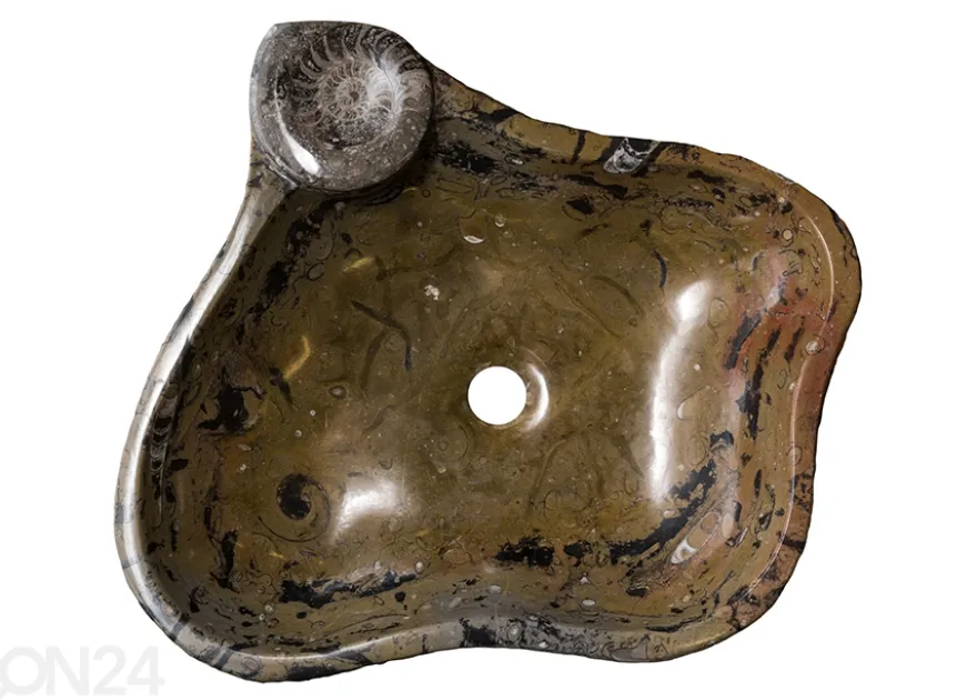 Pesuallas marmoria