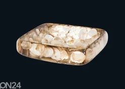 Pesuallas simpukankuorilla