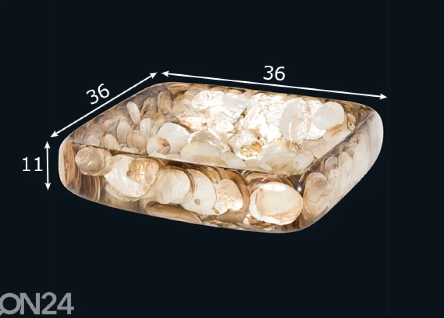 Pesuallas simpukankuorilla