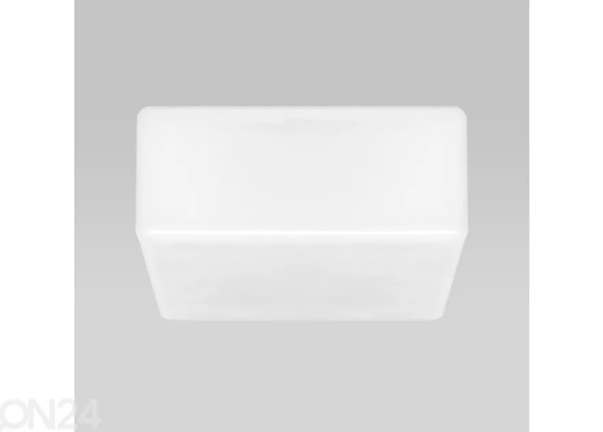 Plafondi Blank