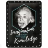 Retro metallitaulu Einstein - Imagination & Knowledge 15x20 cm