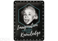 Retro metallitaulu Einstein - Imagination & Knowledge 15x20 cm