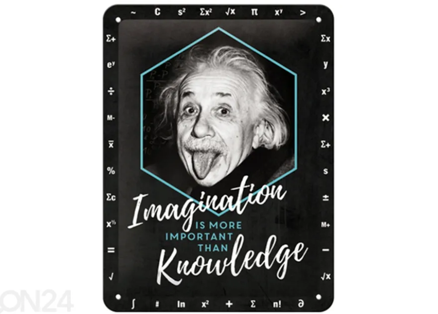 Retro metallitaulu Einstein - Imagination & Knowledge 15x20 cm