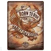 Retro metallitaulu Harley Davidson - Born to Ride Eagle 30x40 cm