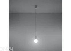 Riippuvalaisin Diego 1