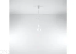 Riippuvalaisin Diego 1