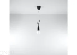Riippuvalaisin Diego 1