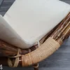 Rottinkituoli Bahama