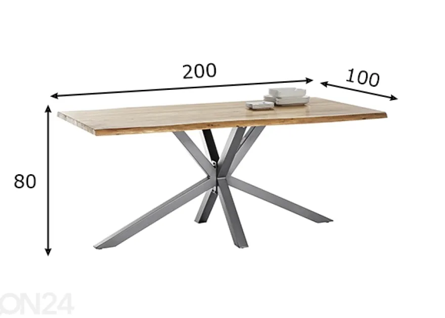 Ruokapöytä Tische 100x200 cm