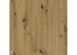 Seinähylly