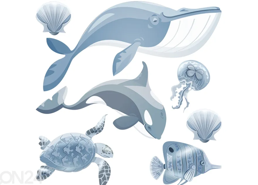 Seinätarrat Ocean