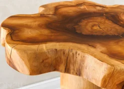 Sohvapöytä Root