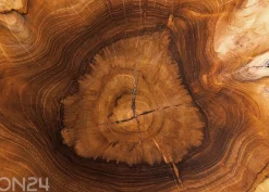 Sohvapöytä Root