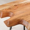 Sohvapöytä Wild 100x41 cm
