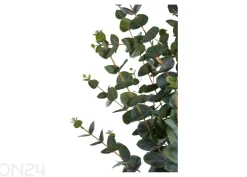 Tekoeukalyptus