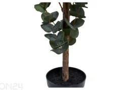 Tekoeukalyptus