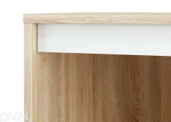 TV-taso