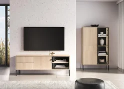 TV-taso Barnee