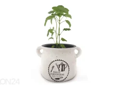 Yrttiruukku BELLE JARDINIERE 15,5 cm